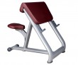 preacher curl/scott bench