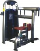 Torso Rotation Fitness Machine