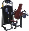 Triceps Press Machine