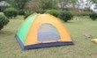 Camping tent-022