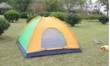 Camping tent-025