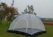 Camping tent-036