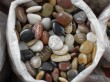 mix color pebble stone