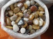 mix color pebble stone