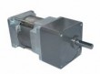 AC Gear Motor YN70-30