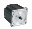 Brushless DC Motor 60ZWN