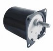 Synchronous Motor 60TYK