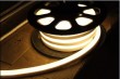 LED PLEXEON Light Single Color Regular Type