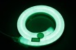 LED PLEXEON Light Single Color Regular Type