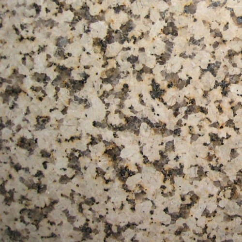 Polished Chinese Natural Granite Tiles / Slabs wit
