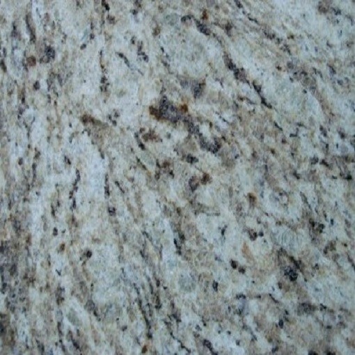 Polished Giallo Ornamental Granite with Good Quali
