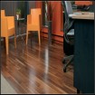 Engineered American Walnut Flooring