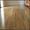 Select Spotted Gum Solid Flooring