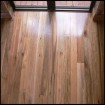 Solid Spotted Gum Wood Flooring