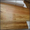 Solid Spotted Gum Timber Flooring