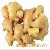 Ginger Root P.E.