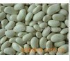 White Kidney Bean Extract