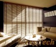 Venetian Blinds