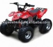 quad atv