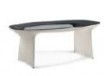 Ellipse Dining Table 