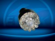 Auto LED Lamp (S25-12+1LED)