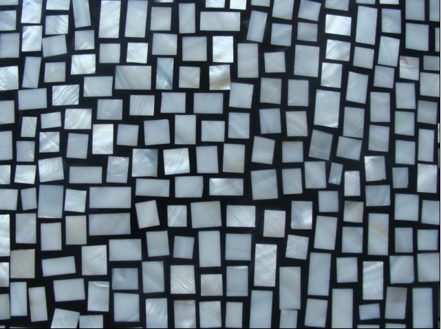 freshwater shell tile