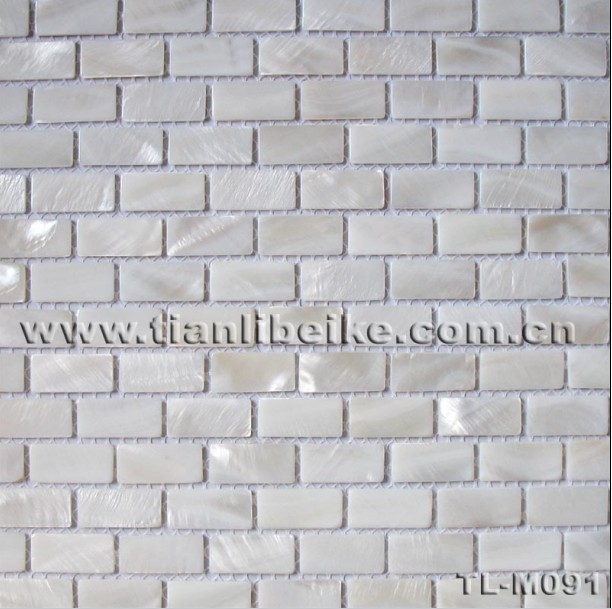 white freshwater shell mosaic