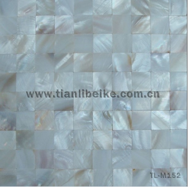 white freshwater shell mosaic