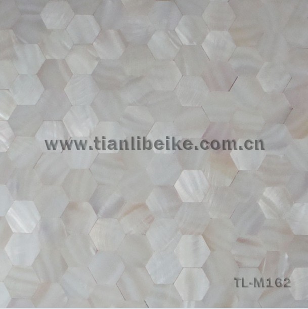 white freshwater shell tile