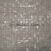 arch white frehwater shell tile