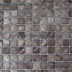 dyeing freshwater shell mosaic