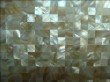 natural freshwater shell tile