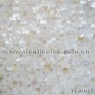 natural freshwater shell tile