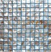 pintou freshwater shell mosaic