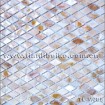 pintou freshwater shell mosaic