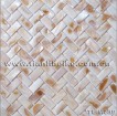 pintou freshwater shell mosaic