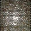 pintou freshwater shell mosaic