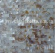 pintou freshwater shell tile 