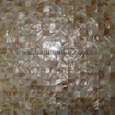 pintou freshwater shell tile