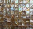 pintou roughness serface freshwater sehll mosaic