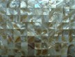 pinyou freshwater shell tile without gap