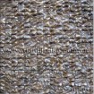 teeth freshwater shell tile