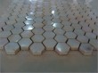 thickening white freshwater shell mosaic