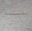 white arch freshwater shell tile