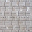 white freshwater shell mosaic