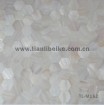 white freshwater shell tile