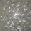 white freshwater shell tile