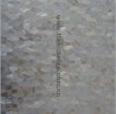 white freshwater shell tile