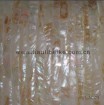 pintou freshwater shell paper tile