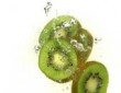 Kiwi Splash